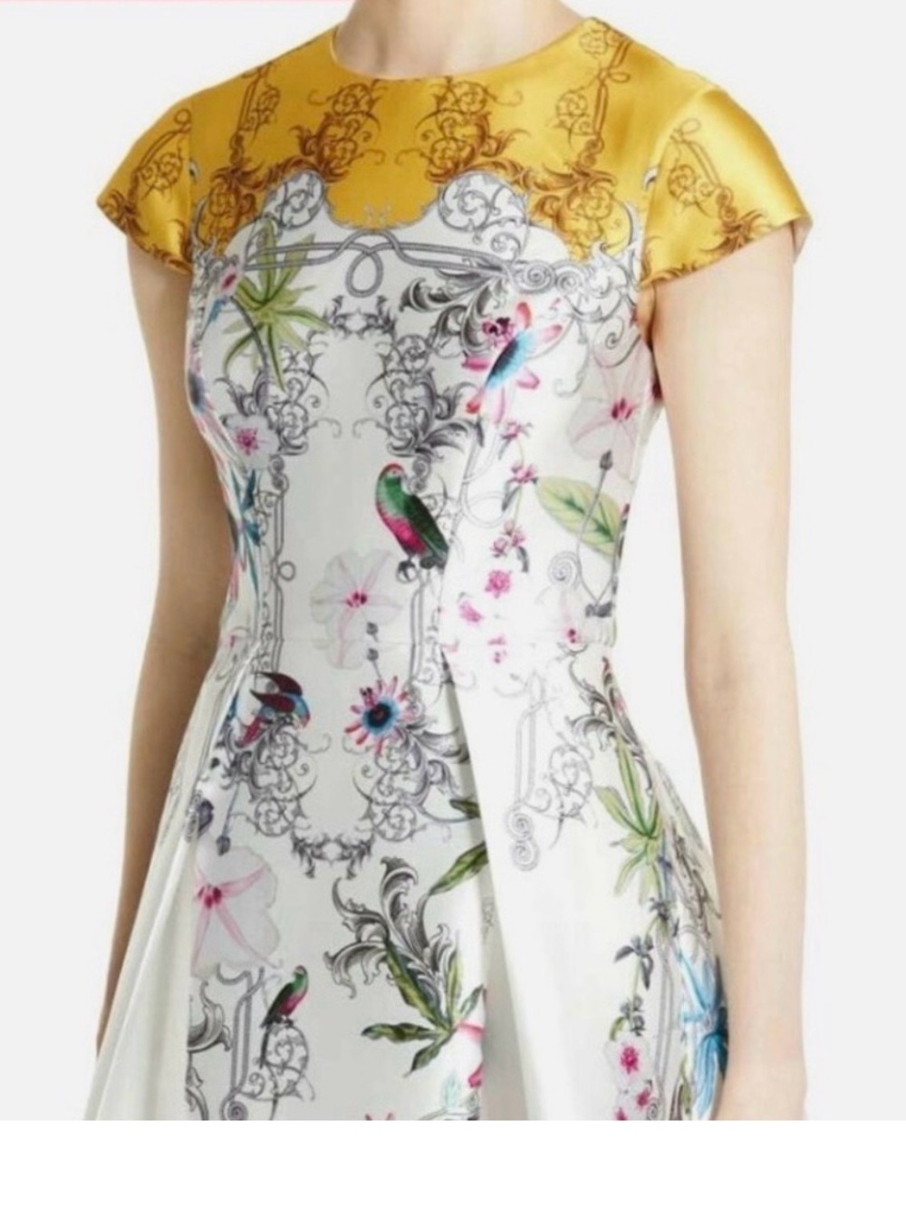 Ted Baker London Floral Fit-and-Flare Dress